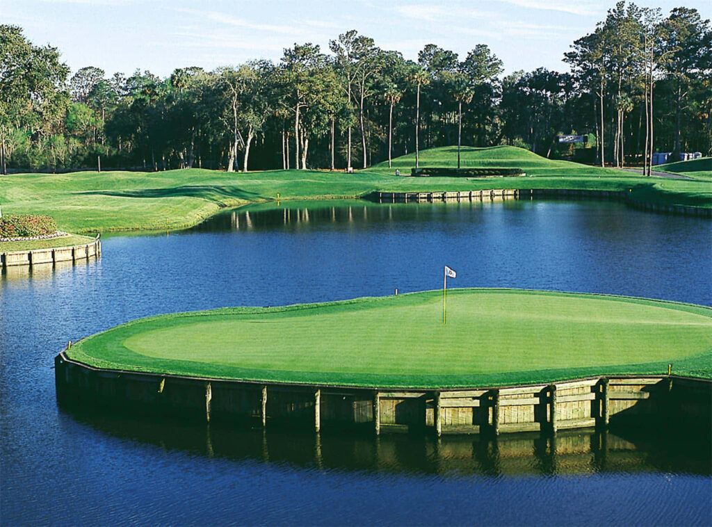 14-club golf bag - Pic of # 17 Island Green at Sawgrass.